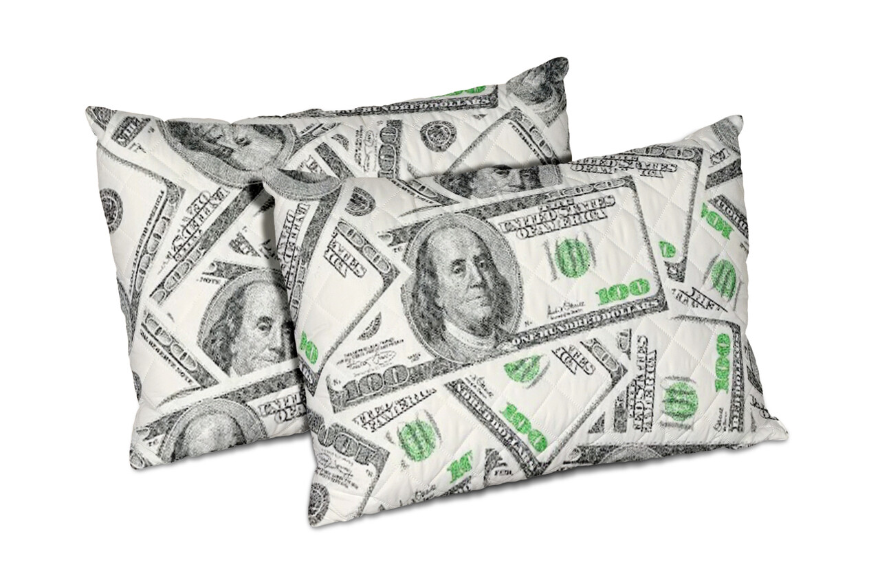 Set 2 perne Alcam, 50x70 cm, Dollar Dream, microfibra matlasata - imagine 7